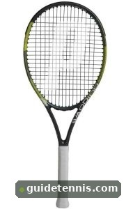 Prince Warrior 100 ESP Review