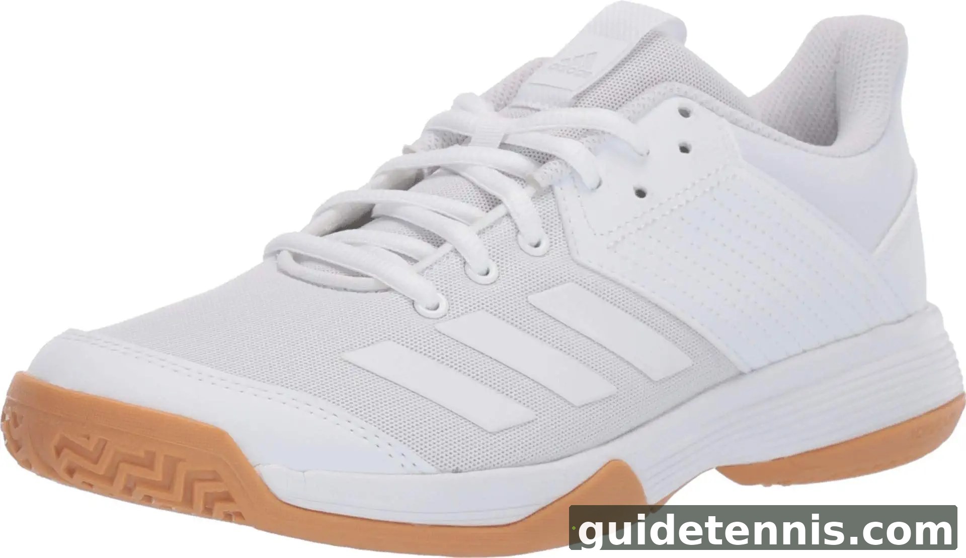 Adidas Originals Women's Ligra 6 Volleyball Shoe