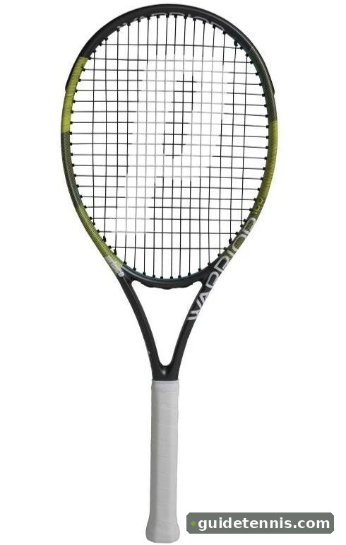 Prince Warrior 100 ESP Review